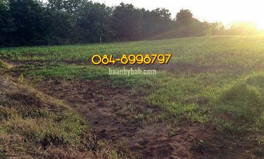Land for sale, Nong Phai District, Phetchabun, title deed, Krut Daeng, area 3-2-2 rai, in the municipal area. The entire plot has been filled in, selling for 3.5 million.