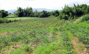 Land for sale, Sathan Subdistrict, Chiang Khong District, Chiang Rai, good location, only 5 minutes from the main road. Hurry and reserve yours today!