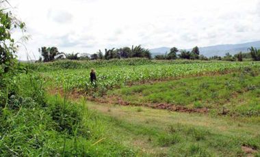 Land for sale, Sathan Subdistrict, Chiang Khong District, Chiang Rai, good location, only 5 minutes from the main road. Hurry and reserve yours today!