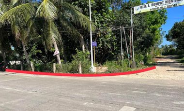 Commercial Lot for Sale located at Bilisan, Panglao, Bohol