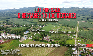 Talakag Lot For Sale