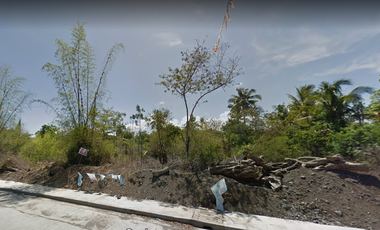 AGRI-COMMERCIAL LOT FOR SALE IN SAN JOSE, ANTIQUE