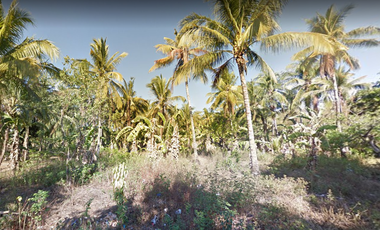 AGRI-COMMERCIAL LOT FOR SALE IN SAN JOSE, ANTIQUE
