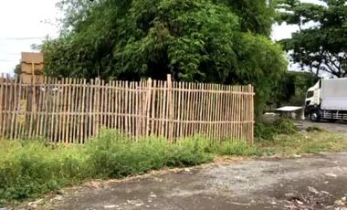 AGRI-COMMERCIAL LOT FOR SALE IN SAN JOSE, ANTIQUE