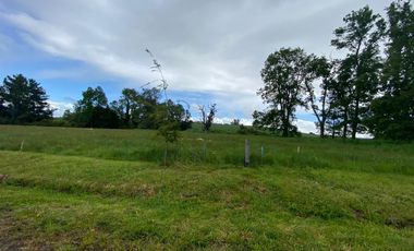 Venta Parcela Trumao a 15 kms de Osorno