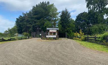 Venta Parcela Trumao a 15 kms de Osorno