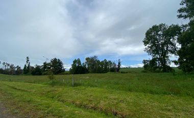 Venta Parcela Trumao a 15 kms de Osorno