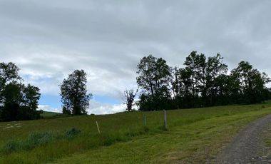 Venta Parcela Trumao a 15 kms de Osorno