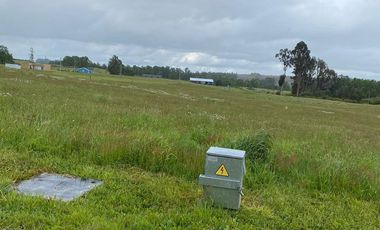 Venta Parcela Trumao a 15 kms de Osorno