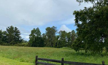 Venta Parcela Trumao a 15 kms de Osorno