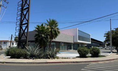 PLAZA LA MILLA