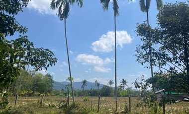 Exceptional 5.5 Rai Mountain View Land for Sale in Thai Mueang, Phangnga