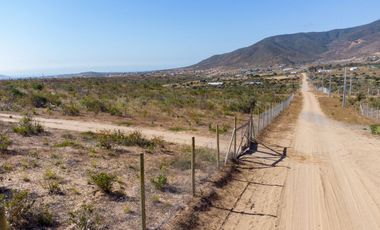 En Tongoicillo, Coquimbo, venta o arriendo año corrido de parcela de 5000 m2 con amplia casa