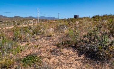 En Tongoicillo, Coquimbo, venta o arriendo año corrido de parcela de 5000 m2 con amplia casa