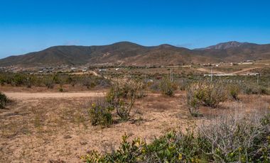 En Tongoicillo, Coquimbo, venta o arriendo año corrido de parcela de 5000 m2 con amplia casa