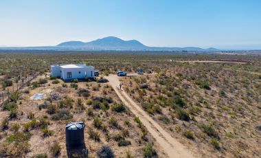 En Tongoicillo, Coquimbo, venta o arriendo año corrido de parcela de 5000 m2 con amplia casa