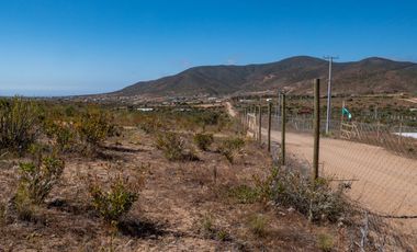 En Tongoicillo, Coquimbo, venta o arriendo año corrido de parcela de 5000 m2 con amplia casa