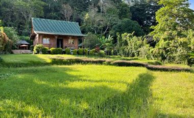 Leasehold - Tranquil Retreat Serene Cottage Living Amidst Nature's Embrace