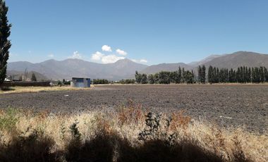 Llay Llay – Venta Terreno 4,1 ha destino Agro-industrial 11.600UF