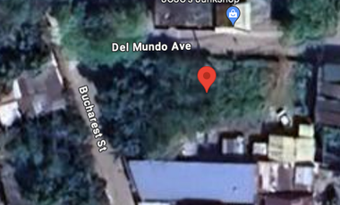 Residential Lot for Sale in Barrio Road, Del Mundo, Caloocan City