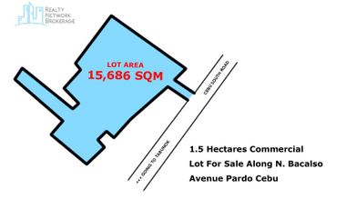 1.5 Hectares Commercial Lot For Sale Along N. Bacalso Avenue Pardo Cebu