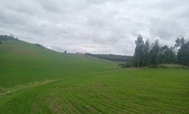 TERRENO EN VENTA 25 EXTARIAS CHINCHERO CUSCO