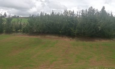 TERRENO EN VENTA 25 EXTARIAS CHINCHERO CUSCO