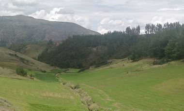 TERRENO EN VENTA 25 EXTARIAS CHINCHERO CUSCO