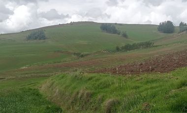 TERRENO EN VENTA 25 EXTARIAS CHINCHERO CUSCO
