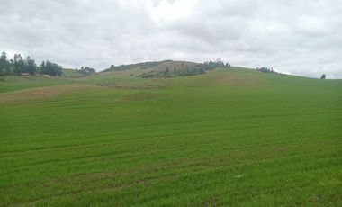 TERRENO EN VENTA 25 EXTARIAS CHINCHERO CUSCO