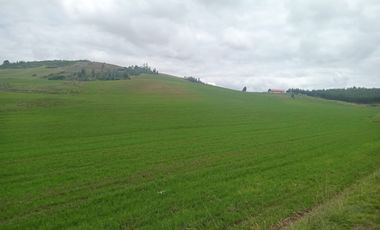 TERRENO EN VENTA 25 EXTARIAS CHINCHERO CUSCO