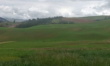 TERRENO EN VENTA 25 EXTARIAS CHINCHERO CUSCO