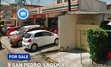 Commercial Lot with rental income at San Pedro, Laguna, 2543 sqms.
