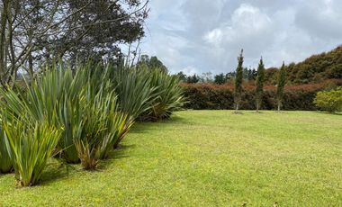 PR16990 Arriendo de casa en el sector Alto de Palmas