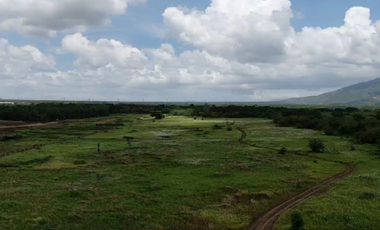 4599 SQM Industrial Lot for Sale for Warehouse in Batangas near Lipa