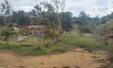 Se Vende Parcela en la Mesa de los Santos