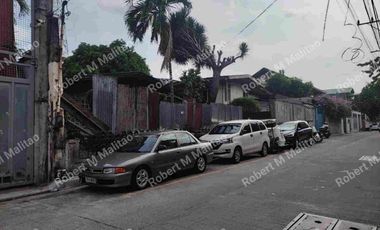 Cheap Industrial Lot for Sale in Quezon City near Roosevelt Ave ideal for Mini Warehouse