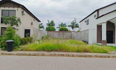 Terreno de venta en la Urbanización Ciudad Celeste, Samborondón, 250 m2.