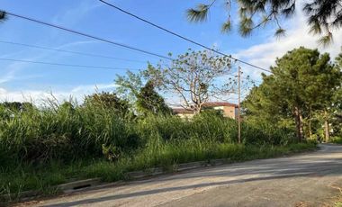 Nice Lot for Sale in Ponderosa Leisure Farms, Silang, Cavite