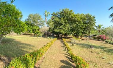 FINCA EN VENTA TURBANA, BOLIVAR DE 5 HECTARERAS Y MEDIA