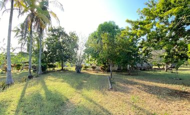 FINCA EN VENTA TURBANA, BOLIVAR DE 5 HECTARERAS Y MEDIA