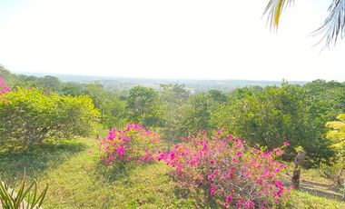 FINCA EN VENTA TURBANA, BOLIVAR DE 5 HECTARERAS Y MEDIA