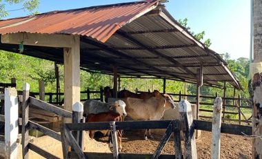 FINCA EN VENTA TURBANA, BOLIVAR DE 5 HECTARERAS Y MEDIA
