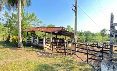 FINCA EN VENTA TURBANA, BOLIVAR DE 5 HECTARERAS Y MEDIA