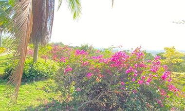 FINCA EN VENTA TURBANA, BOLIVAR DE 5 HECTARERAS Y MEDIA