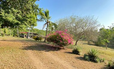 FINCA EN VENTA TURBANA, BOLIVAR DE 5 HECTARERAS Y MEDIA