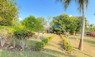 FINCA EN VENTA TURBANA, BOLIVAR DE 5 HECTARERAS Y MEDIA