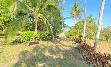 FINCA EN VENTA TURBANA, BOLIVAR DE 5 HECTARERAS Y MEDIA