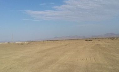 HERMOSO TERRENO EN TALARA DE 98 HECTÁREAS :