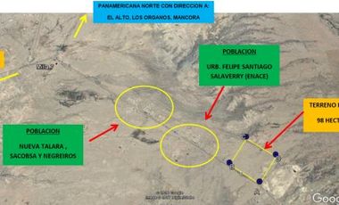 HERMOSO TERRENO EN TALARA DE 98 HECTÁREAS :